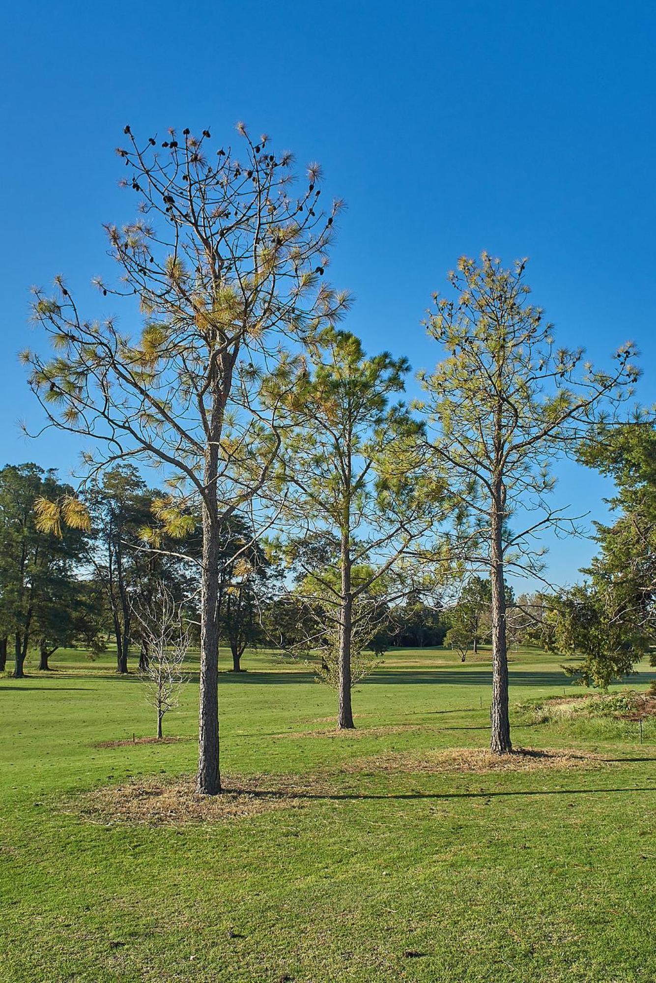 Apartment La Cantera Eco & Golf *