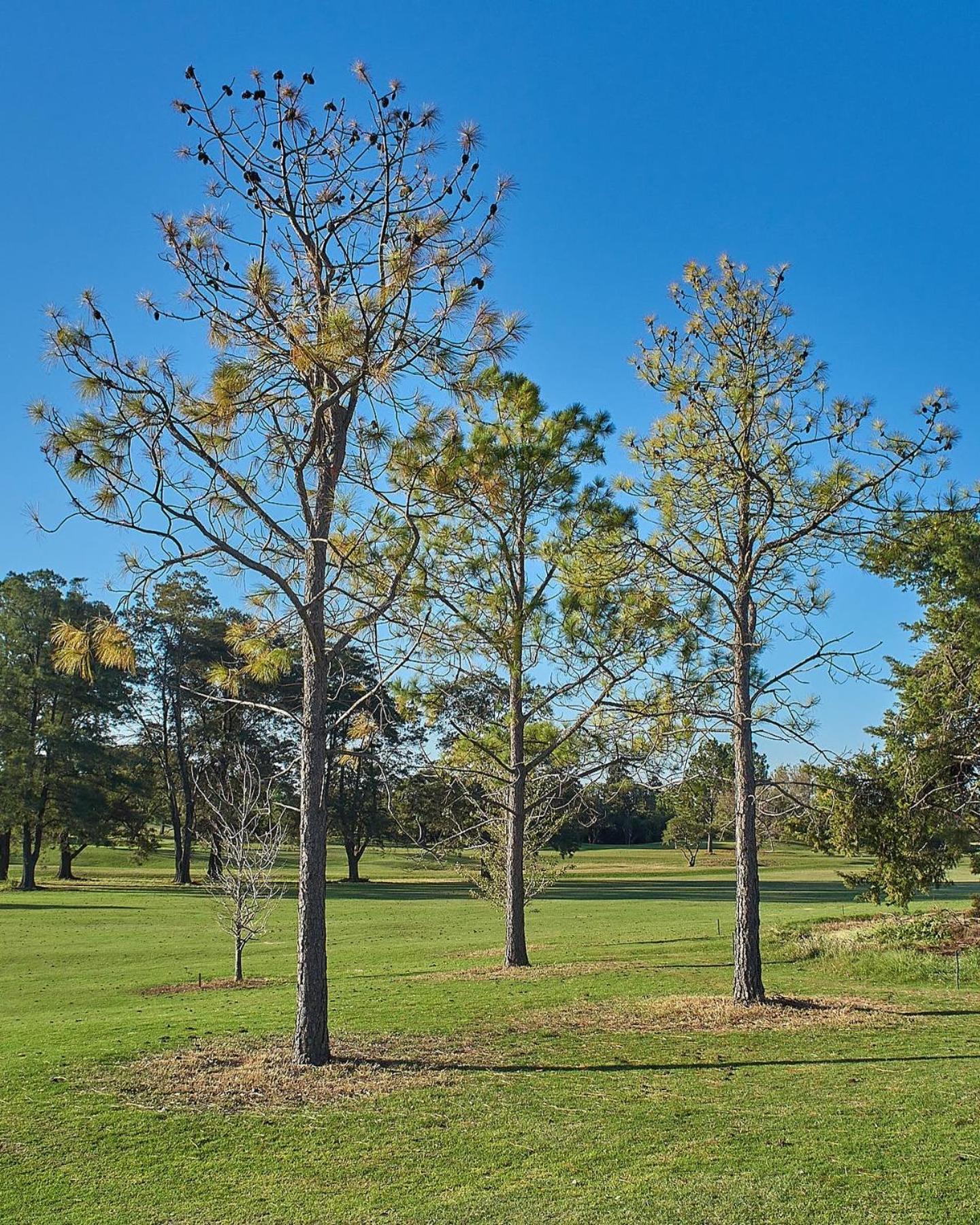 La Cantera Eco & Golf Apartment Victoria (Entre Rios)